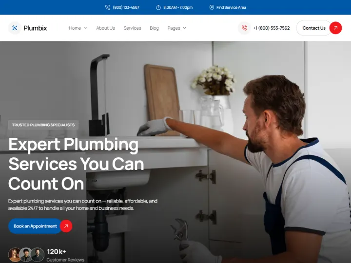 Screenshot of the Plumbing demo website